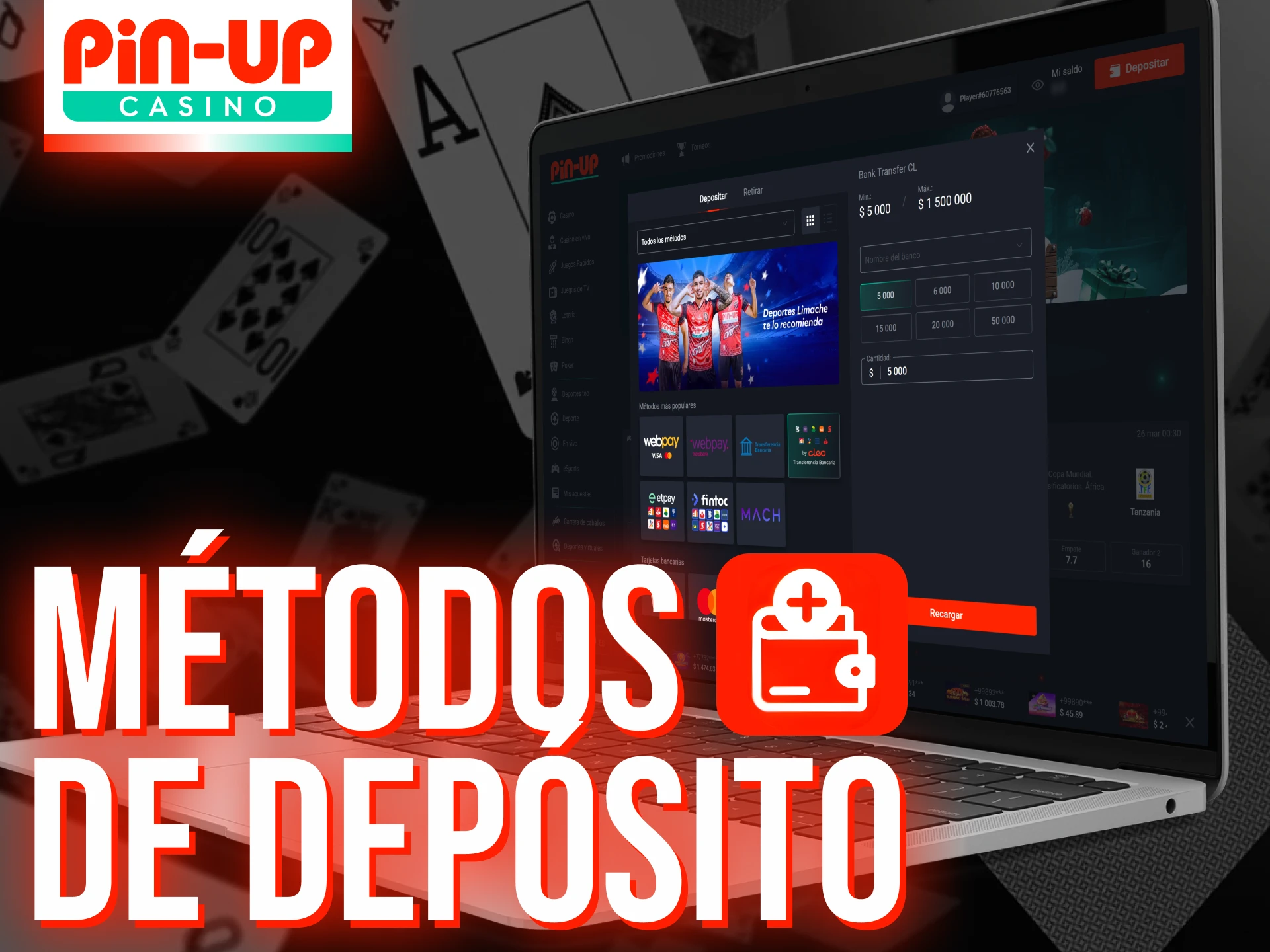 Pin-Up ofrece una variedad de cómodos métodos de depósito y retirada.